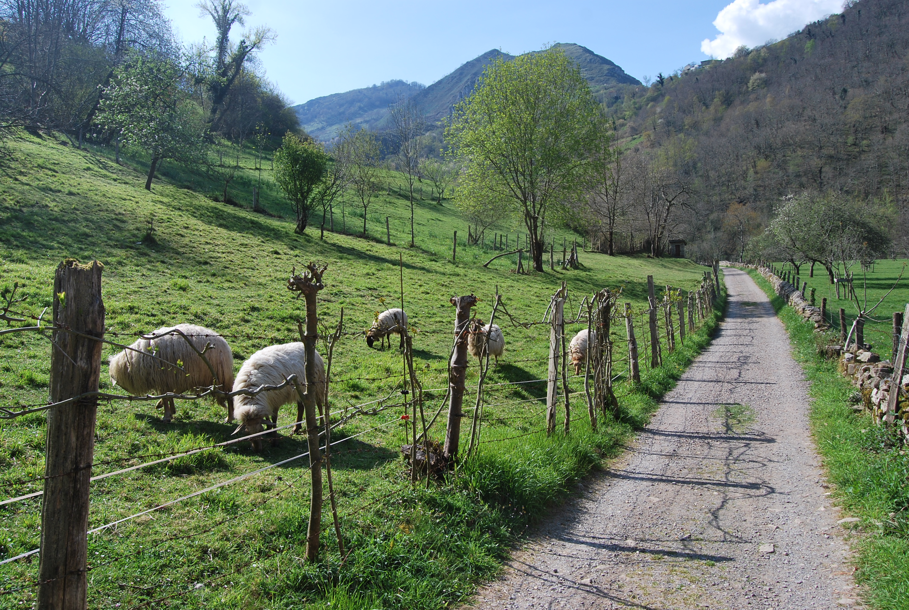 Ruta Olla de San Vicente Amieva Asturias The Wandering S